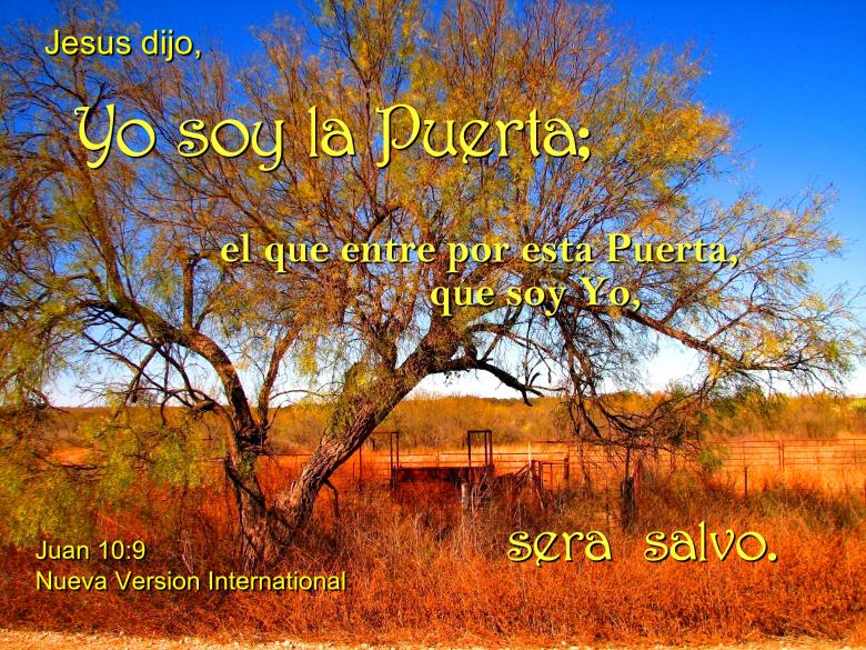 Free stock image of Jesus es las Puerta created by DFNatureAwed
