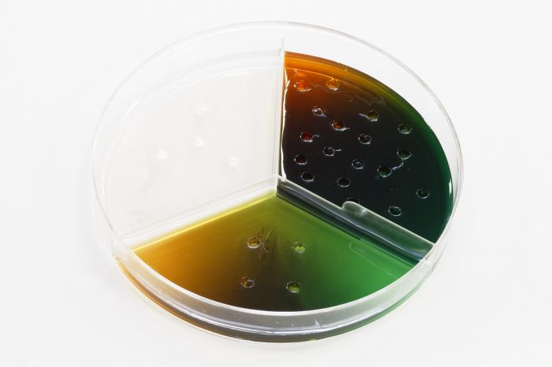 Free stock image of Food Safety Antigen Antibody Test created by Geoffrey Whiteway
