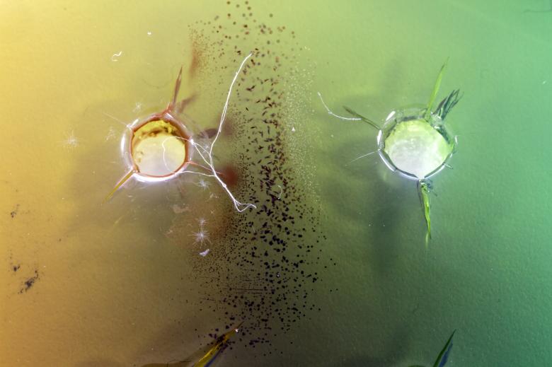 Free stock image of Food Safety Antigen Antibody Test created by Geoffrey Whiteway