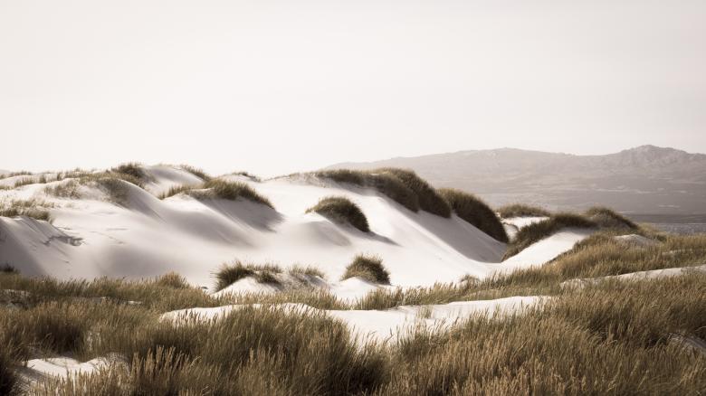 Free stock image of Sand dunes created by Luka