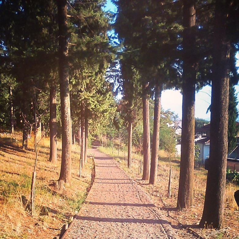 Free stock image of Nature walk created by eftihia kampouri