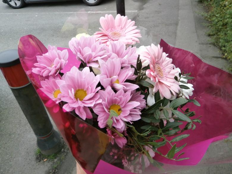 Free stock image of Bouquet created by eftihia kampouri
