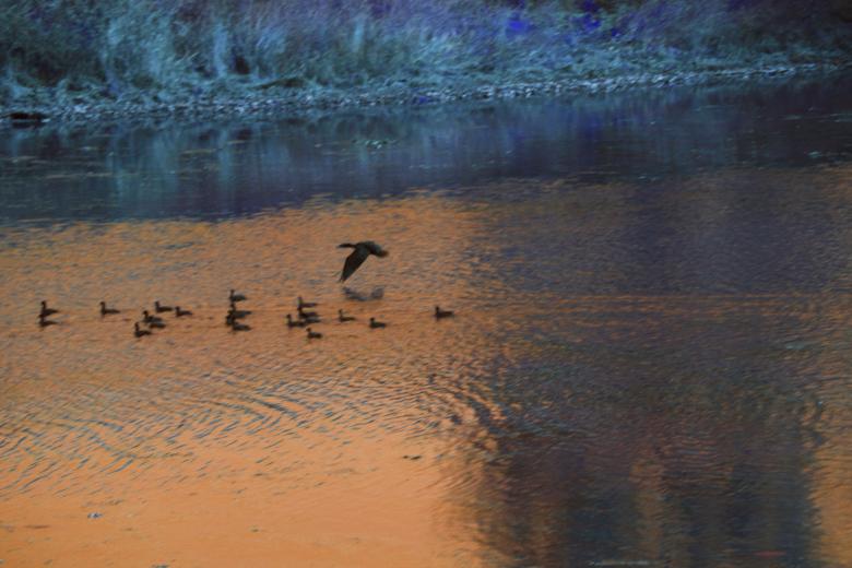 Free stock image of A peaceful Day created by dana richardson
