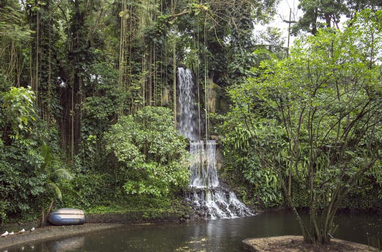 Free stock image of Waterfall in the jungle created by Mili Vigerova