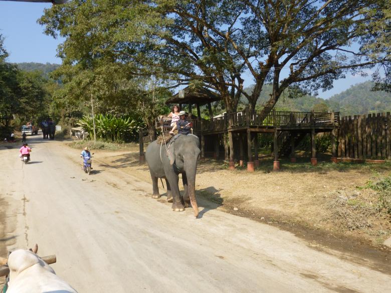 Free stock image of Elephant Ride created by Yossi Shoshani