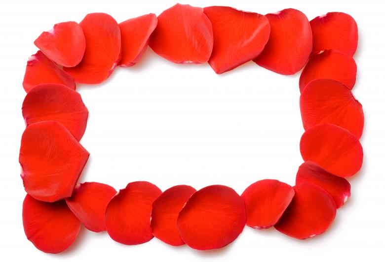 Free stock image of rose petals frame created by 2happy