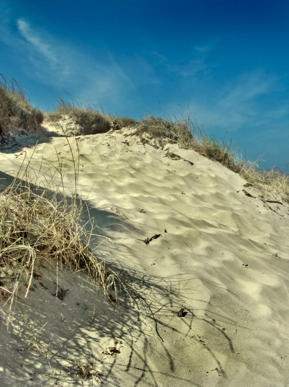Free stock image of Sand dune created by Mili Vigerova