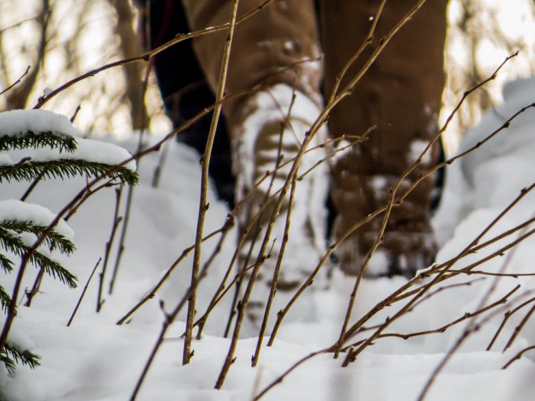 Free stock image of Hiking in Winter created by Janis Urtans