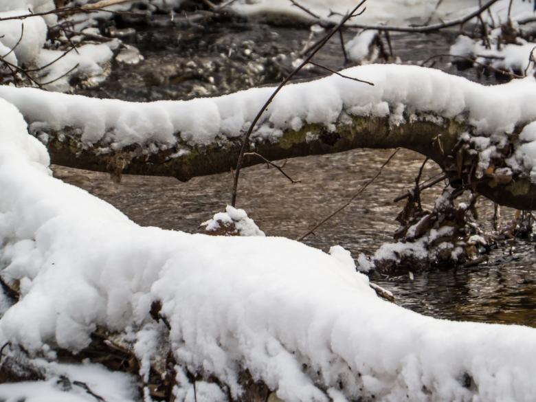 Free stock image of Spring and ice created by Janis Urtans