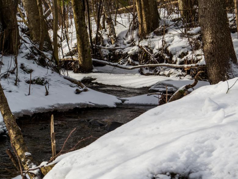 Free stock image of Spring and ice created by Janis Urtans