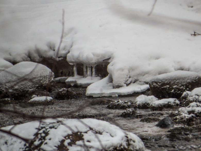 Free stock image of A small spring created by Janis Urtans
