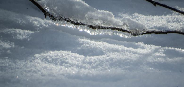 Free stock image of Snow and branch  created by Janis Urtans