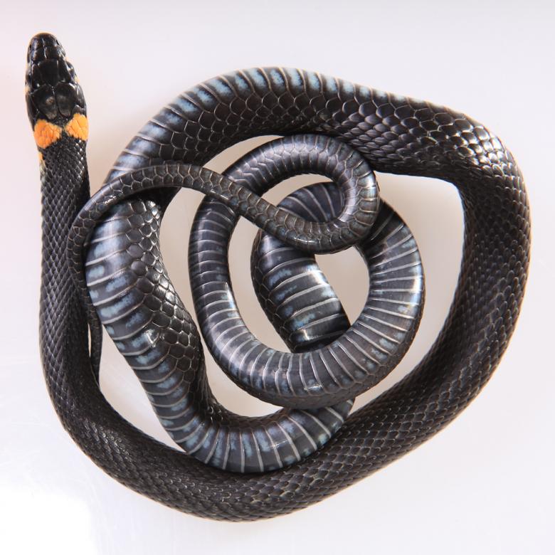 Free stock image of snake created by 2happy