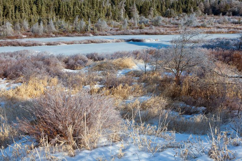 Free stock image of Winter wonderland created by Geoffrey Whiteway