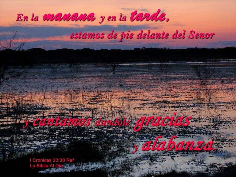 Free stock image of Cantamos Gracias al Senor created by DFNatureAwed