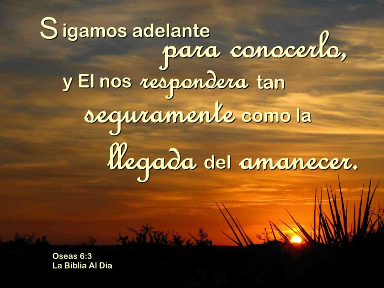 Free stock image of Sigamos Adelante Para Conocerlo created by DFNatureAwed