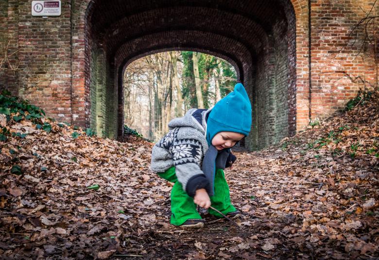 Free stock image of Little boy and autumn leaves created by Luka