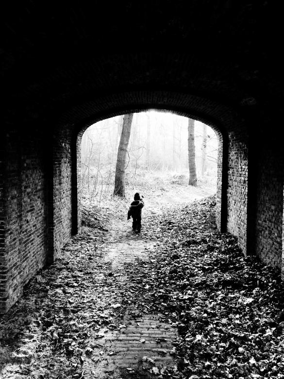 Free stock image of Child walking under bridge in forest created by Luka