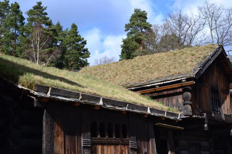 Free stock image of Green roof created by Tomas Adomaitis