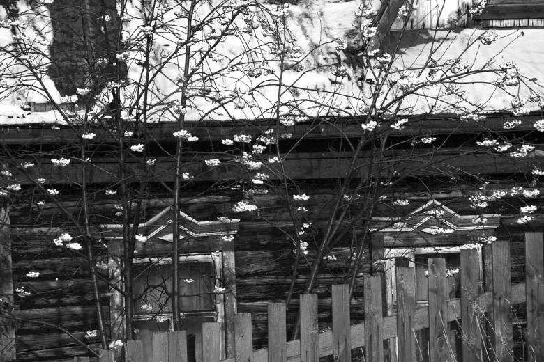 Free stock image of Old house created by 2happy