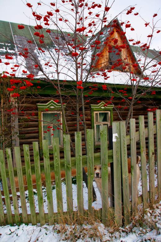 Free stock image of Old house created by 2happy