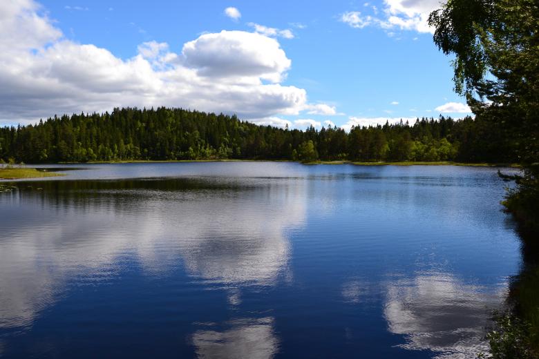 Free stock image of Calm lake created by Tomas Adomaitis