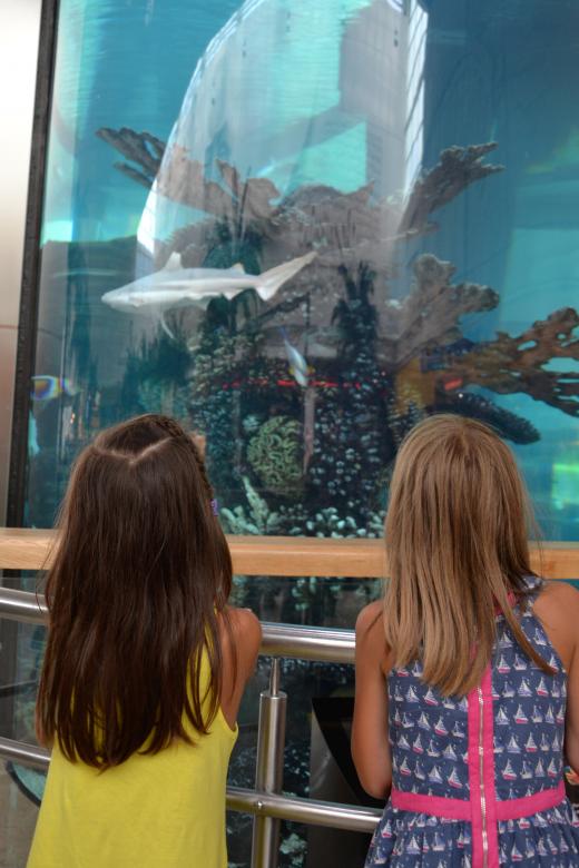 Free stock image of Kids near aquarium created by Tomas Adomaitis