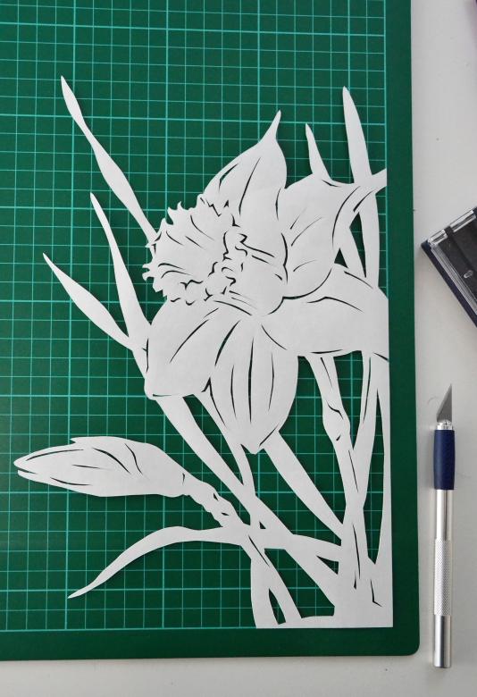 Free stock image of Narcissus paper cutting created by Tomas Adomaitis