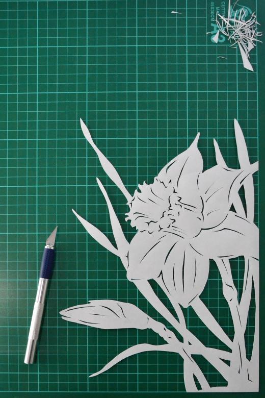 Free stock image of Daffodil paper cutting created by Tomas Adomaitis