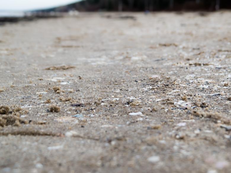 Free stock image of Beach created by Janis Urtans