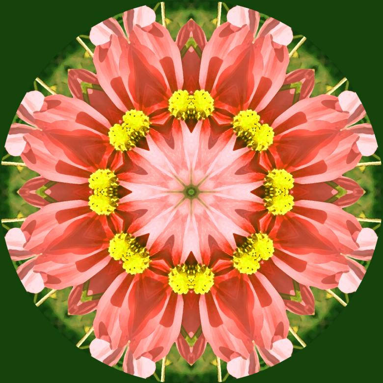 Free stock image of kaleidoscope flower mandala created by Luka