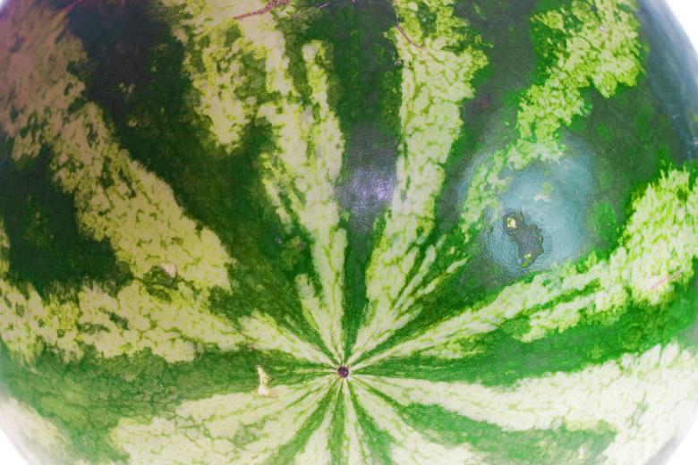 Free stock image of Watermelon created by 2happy