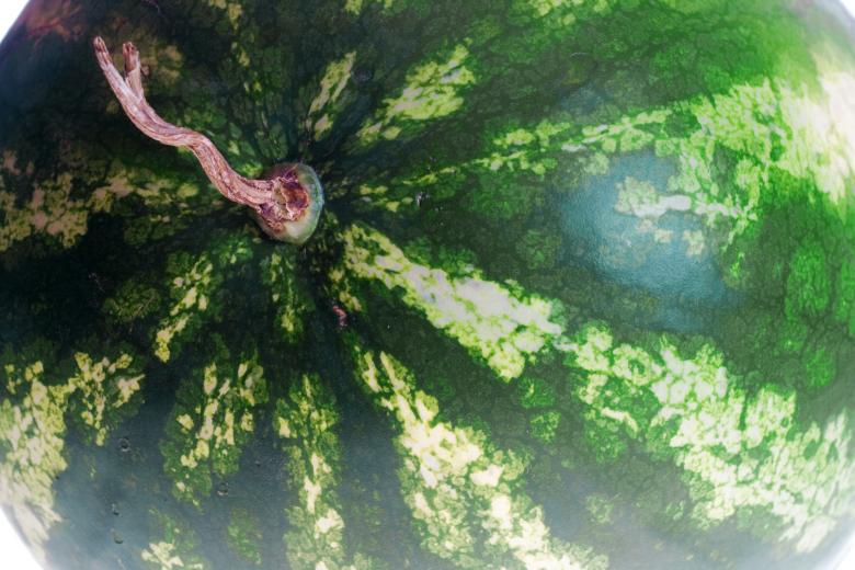 Free stock image of Watermelon created by 2happy
