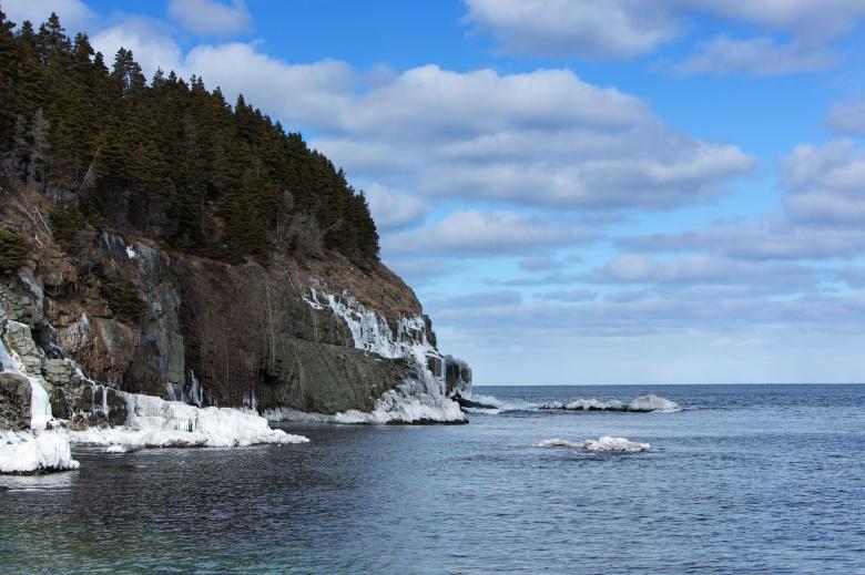 Free stock image of Bay with trees in winter created by Geoffrey Whiteway
