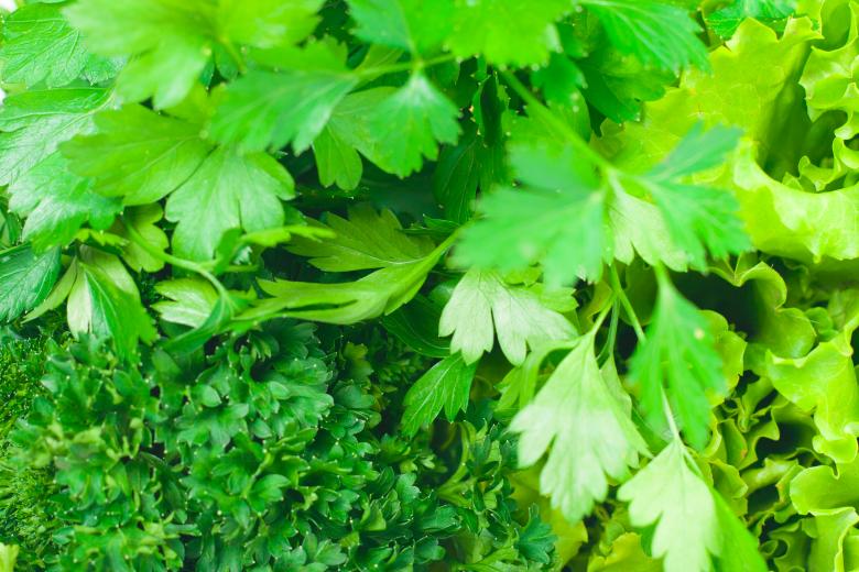 Free stock image of Greens created by 2happy