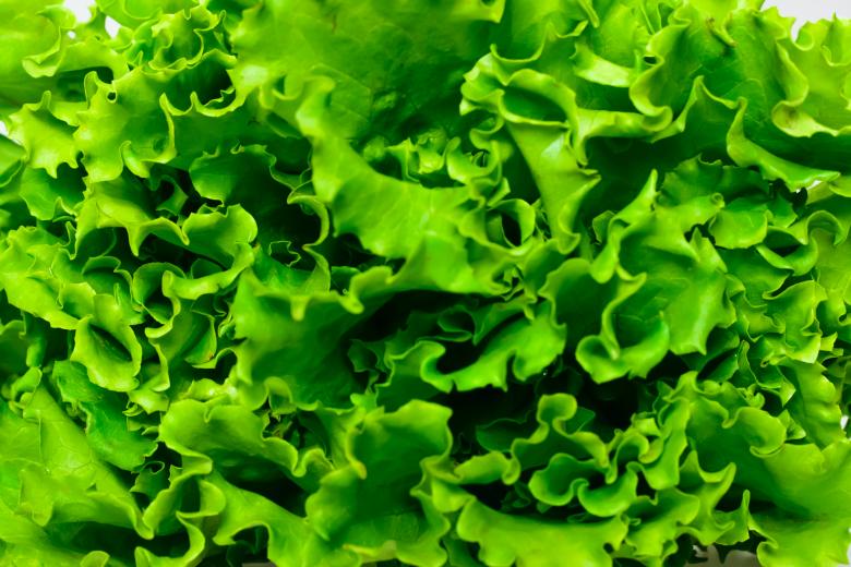 Free stock image of Greens created by 2happy