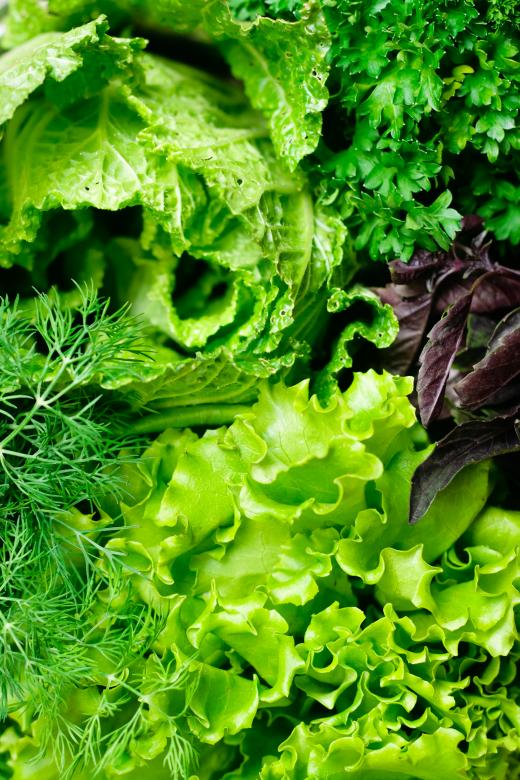 Free stock image of Greens created by 2happy