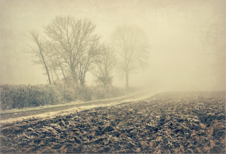 Free stock image of Country Lane  created by Kate Towers 
