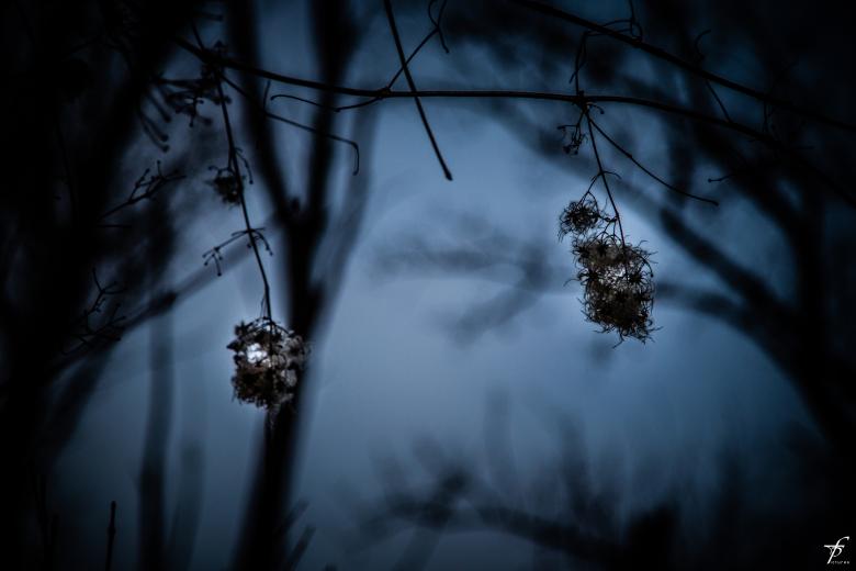 Free stock image of Late spring evening created by Frantisek Pech
