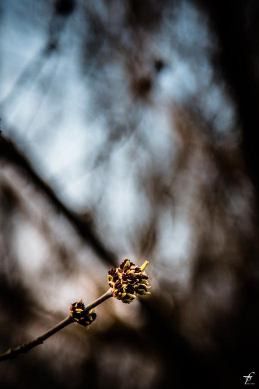 Free stock image of Late spring evening created by Frantisek Pech