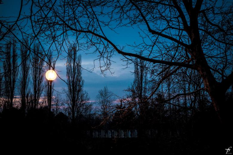 Free stock image of Late spring evening created by Frantisek Pech