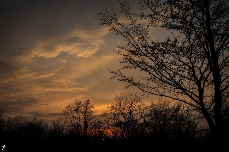 Free stock image of Late spring evening created by Frantisek Pech