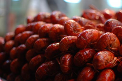 Crawfish stack - Free Stock Photo