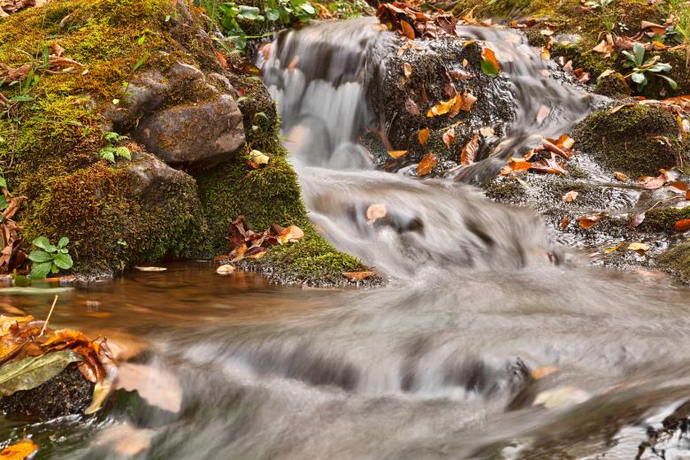 Free stock image of Dark Hollow Falls Stream - HDR created by Nicolas Raymond