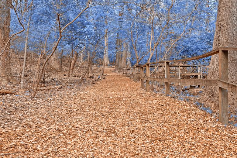 Free stock image of Sapphire Sanctuary Trail - HDR created by Nicolas Raymond