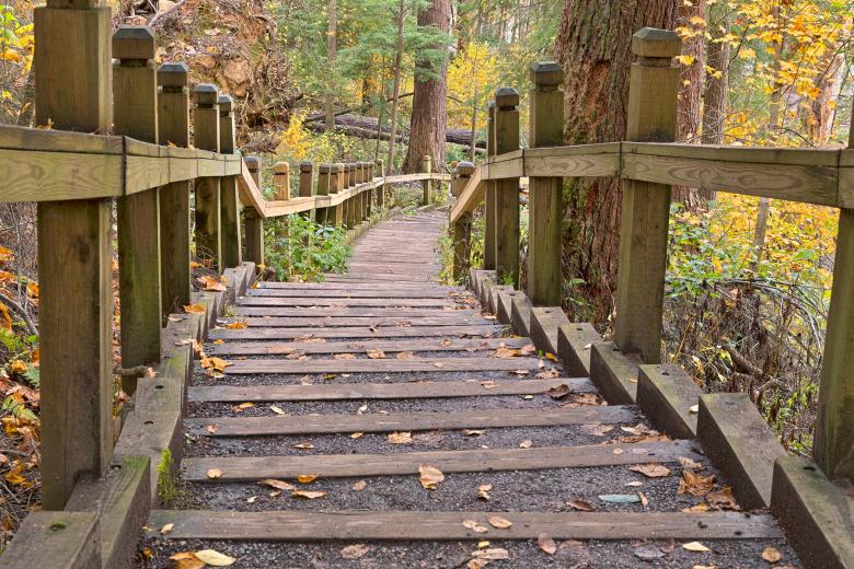 Free stock image of Swallow Fall Stairway - HDR created by Nicolas Raymond