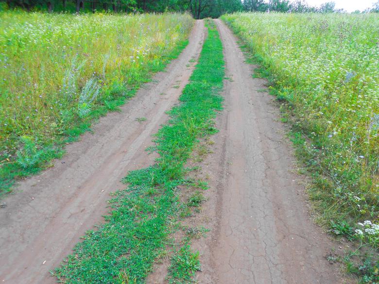 Free stock image of Country road created by 2happy