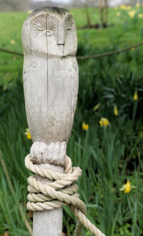 Free stock image of Wooden Owl created by Geoff Dallimore