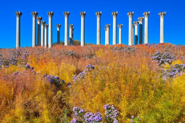Free stock image of Capitol Arboretum Columns - HDR created by Nicolas Raymond