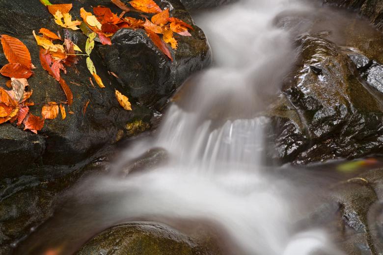 Free stock image of Glen Artney Stream - HDR created by Nicolas Raymond